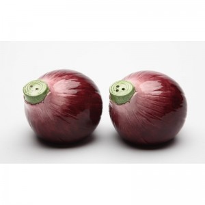 CosmosGifts Purple Onion Salt and Pepper Set SMOS1164